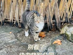 -静安公园(静安寺街道)