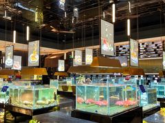 -璞御·海鲜·雪花牛肉局(宾水西道店)