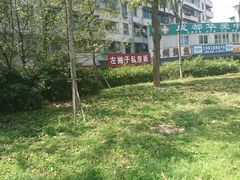 -左撇子私房面