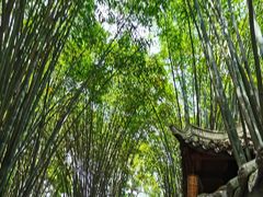 -成都杜甫草堂博物馆