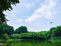 -河南省黄河迎宾馆