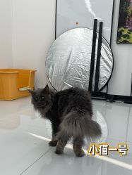 -熙.Hair 丨专注女子中长发丨