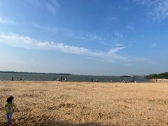 -瑶湖郊野森林公园