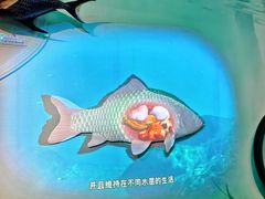 -中国湿地博物馆
