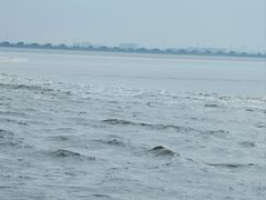 -观潮胜地公园