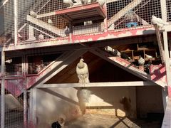 -J Create城市露营咖啡·简餐·宠物(上海动物园店)