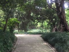 -叶家花园