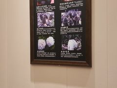 -八宝牛潮汕鲜牛肉火锅(净月店)