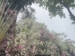 -深圳国际园林花卉博览园