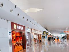 -乌鲁木齐天山国际机场-T3航站楼