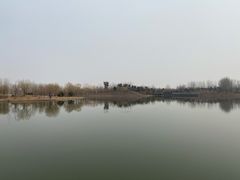 -东郊湿地公园