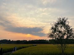 -良渚古城遗址公园