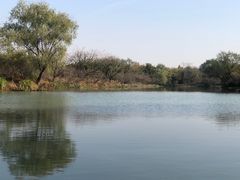 -西溪国家湿地公园