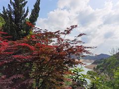 -天台山琼台仙谷景区