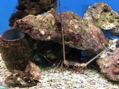 -北戴河圣蓝海洋公园