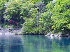 -石台牯牛降景区