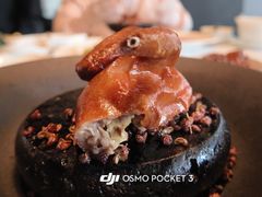 -许家菜.艺创菜(仁和新城店)