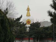 -护国法轮寺