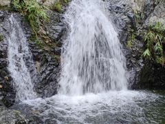 -梧桐山风景名胜区
