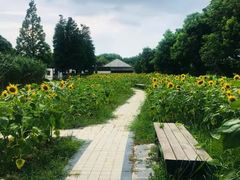 -同里国家湿地公园