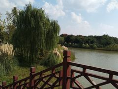 -南湖湿地公园