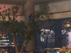 -烛影拾光观景餐厅·创意菜·摄影·小提琴(大唐不夜城店)