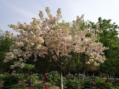 -江南大学(蠡湖校区)