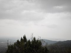 -北京西山国家森林公园