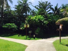 -三亚珠江南田温泉度假区