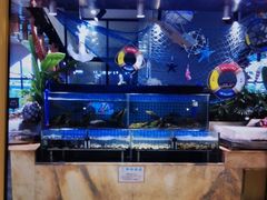 水产区-鹿客臻鲜海鲜自助餐厅(永旺店)
