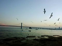 -星海湾跨海大桥