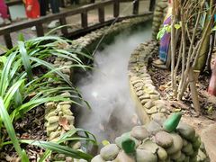 -呀路古热带植物园
