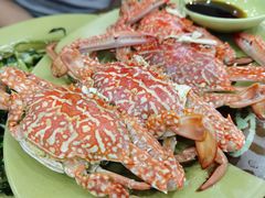 清蒸花蟹-贞姨美食·老字号海鲜大排档
