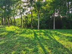 -白鹭湾湿地公园