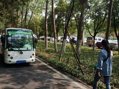 -合肥滨湖国家森林公园