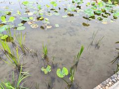 -东山湖公园