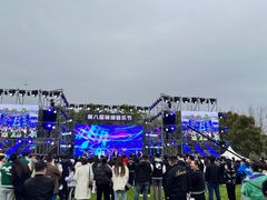 -合肥滨湖国家森林公园