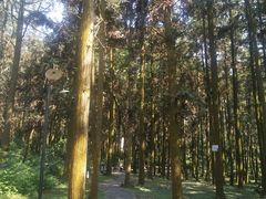 -象山森林公园