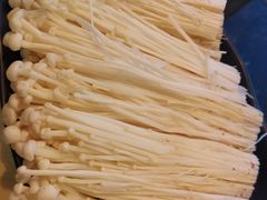 -鲜入围煮花胶鸡海鲜火锅