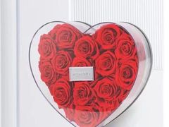 -ROSEONLY诺誓(国际广场购物中心店)