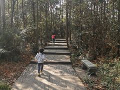 -玻璃桥景区石牛寨