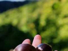 -北京水岸山吧度假村(雁栖镇店)