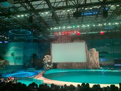 -华夏文旅海洋公园