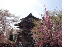 -西安青龙寺遗址景区