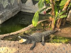 -石家庄市动物园