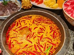 -蜀大侠火锅(总府路店)