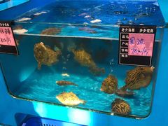 水产区-老六海鲜城