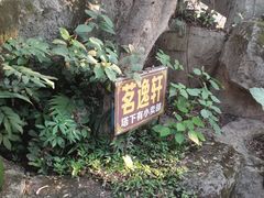 -水濂山森林公园