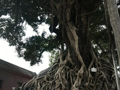 -闽粤南澳总镇府