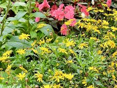 -人民公园(罗湖区)